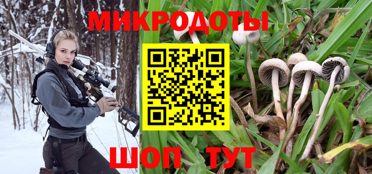 Кизляр  Галлюциногенные грибы Psilocybine cubensis  Вход с VPN 